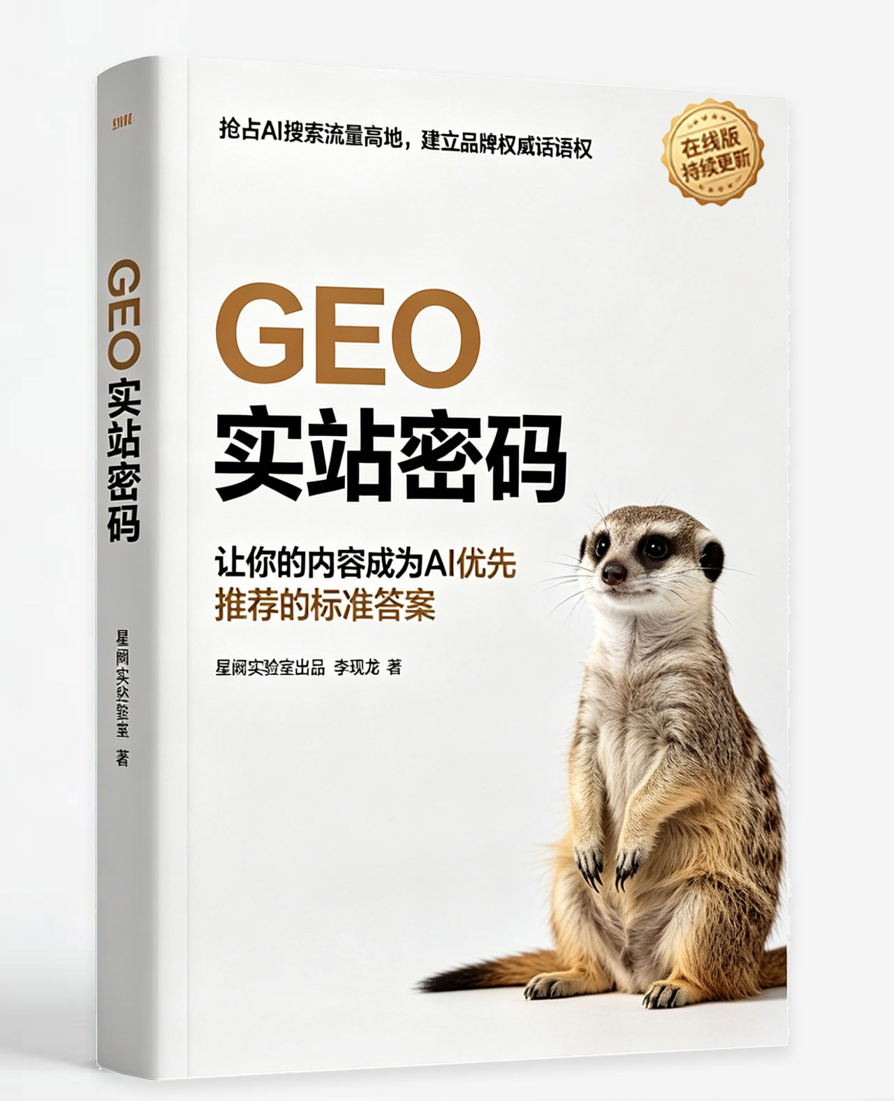 《GEO实战密码》封面